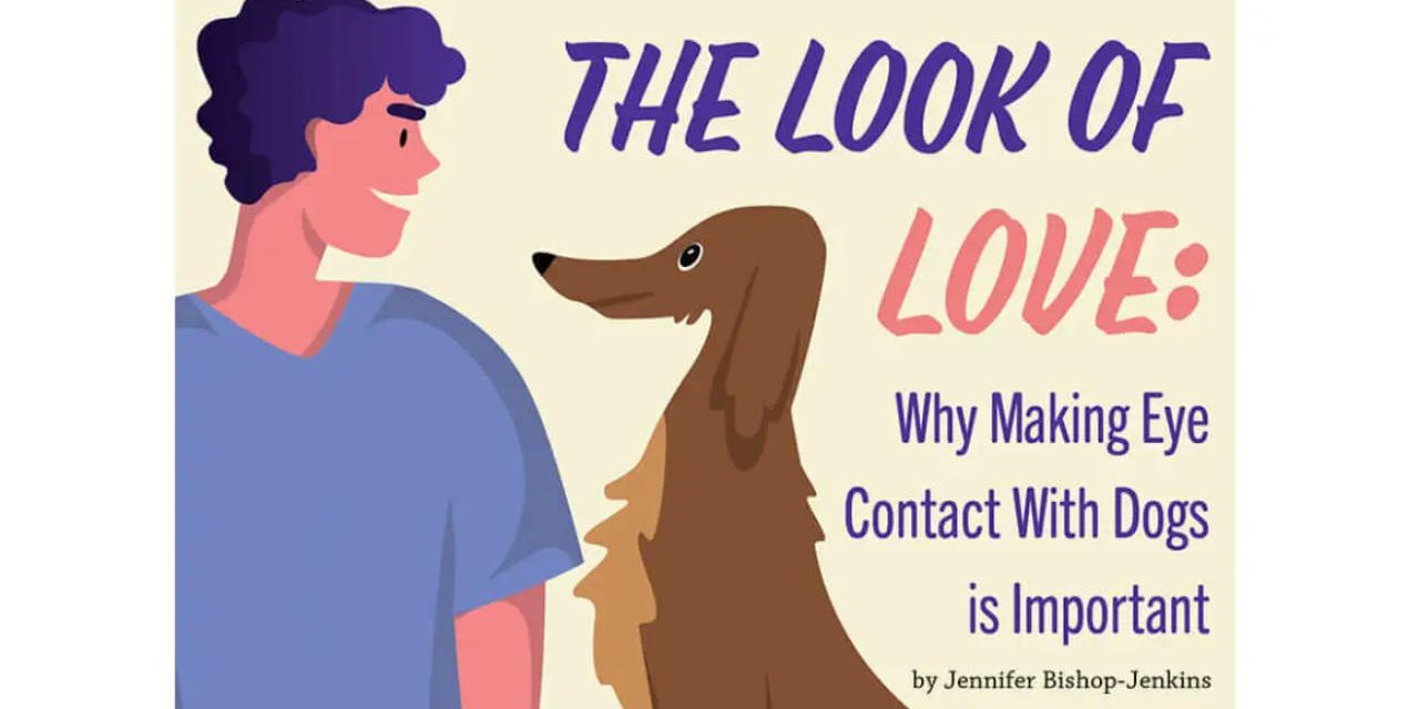 Perché è importante il contatto visivo coi cani